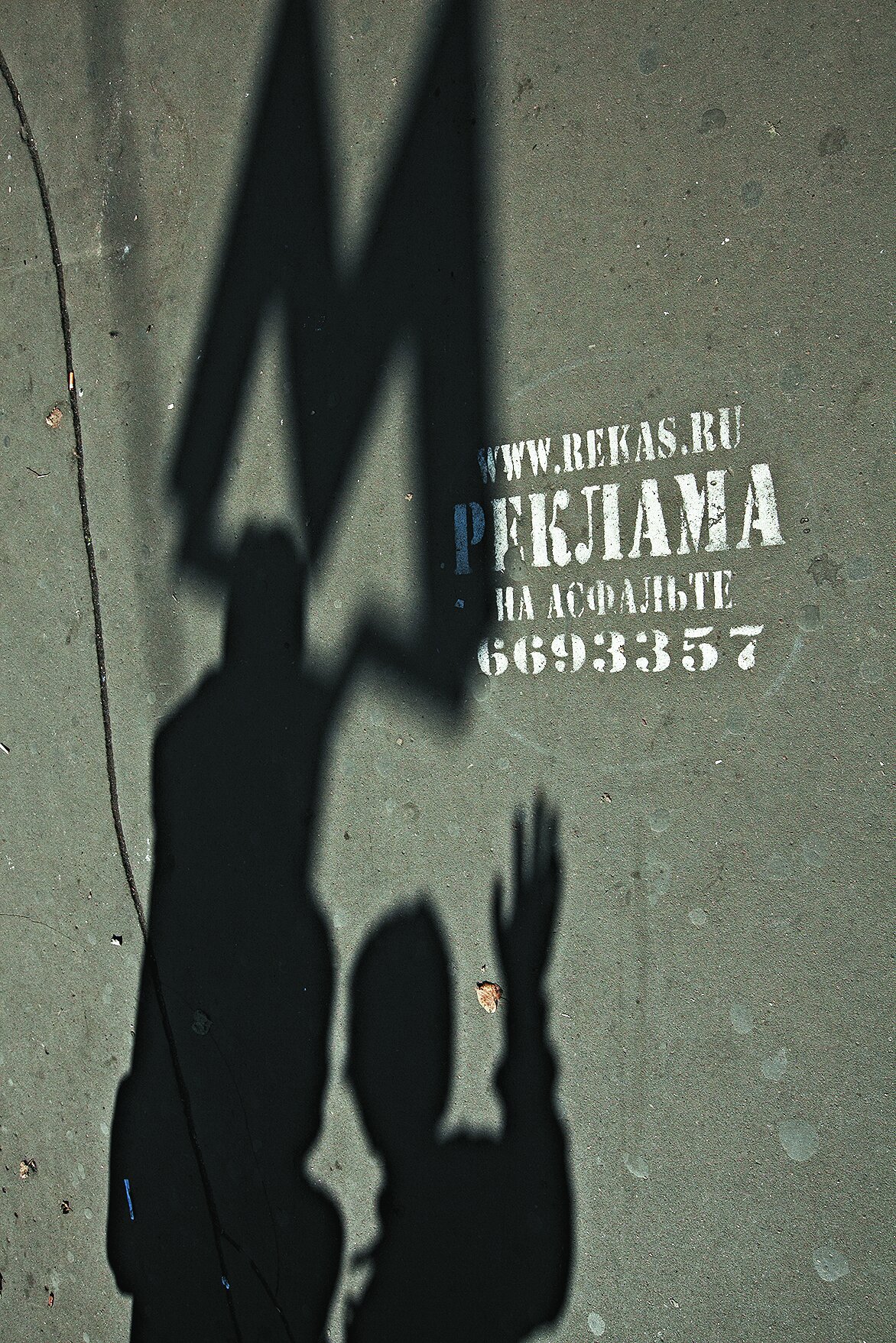 фото: Артем ЖИТЕНЕВ