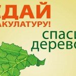 Бизнес-идея – сбор макулатуры. Как начать прибыльный бизнес?