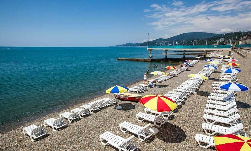 plag sochi v etom godu
