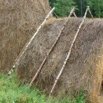 Как сделать шалаш на дереве? Делаем его для детей