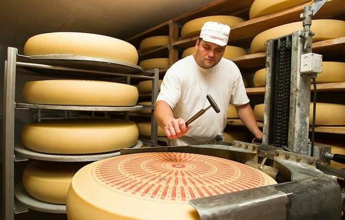 cheeze biznes