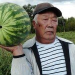 Рынок убивает фермера