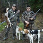 Особенности охоты с различными собаками