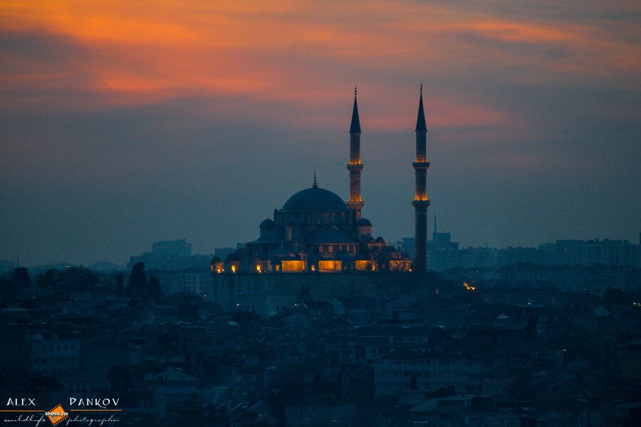 stambul_turziya