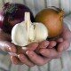 Стоит ли лечить гонорею в домашних условиях?