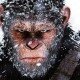 Что если совсем не пользоваться косметикой?